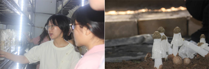 ̽_ԴFrIwʹ־ԸMٹrIcr