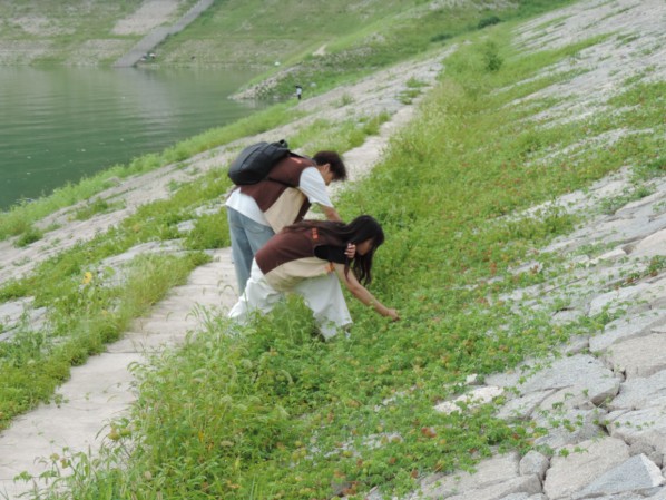 ഺoLB h|WԺWӸ}w_չS`Є